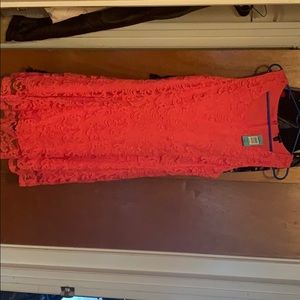 Torrid Lace Dress (short) Great for Easter